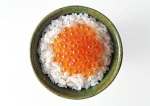 奈良市のニーズに応える！ザ・ビッグ大安寺店｜ピザポケットの魅力と店舗詳細