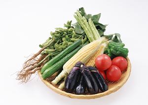 ハワイの風が吹き抜けるおしゃれなカフェ